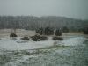 Filename=springSnow-TexasStyle-1000.JPG
Filesize=629KB
Dimensions=1000x750
Date added=Apr 08, 2009 springSnow-TexasStyle-1000.JPG